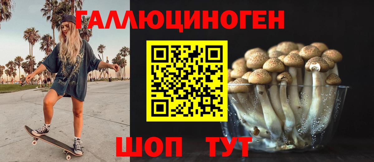 Псилоцибиновые грибы Psilocybine cubensis  Вход с VPN  Каменск-Шахтинский 